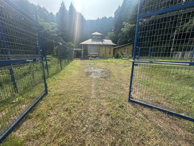 ドックランのあるお家の庭