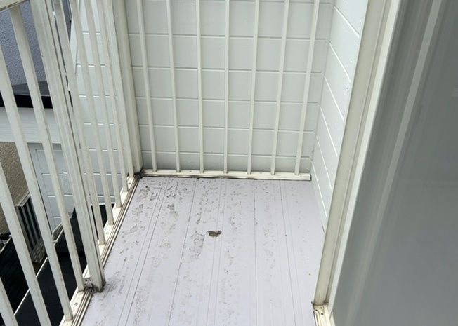 【バルコニー】 | バルコニーは、室外の専用スペースのうち、「屋根がなく開放された空間」であるものを指します。ベランダより広いタイプのものが多く、日当たりもよいため家庭菜園などを楽しみたい人にとって適した環境となります。