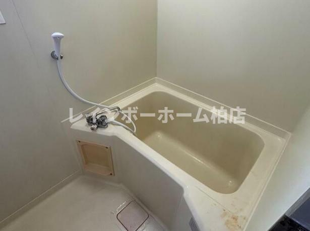 大津ヶ丘ハイツの浴室|コンパクトで使いやすいお風呂です