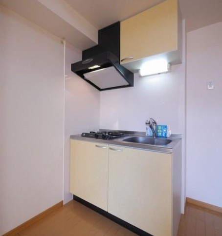 三郷市中央１丁目の賃貸マンションのキッチン|※別部屋参考写真