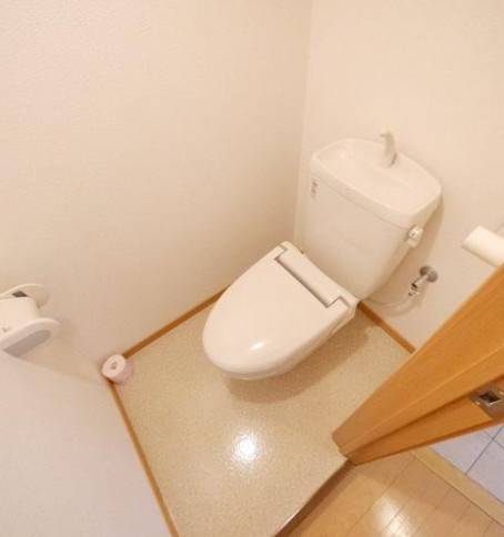 三郷市中央１丁目の賃貸マンションのトイレ|※別部屋参考写真