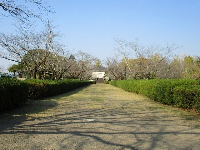 メゾン・ド・セゾンの周辺|都島公園まで800m