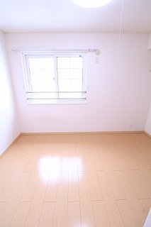 ロング　シーダー　Ｄのその他