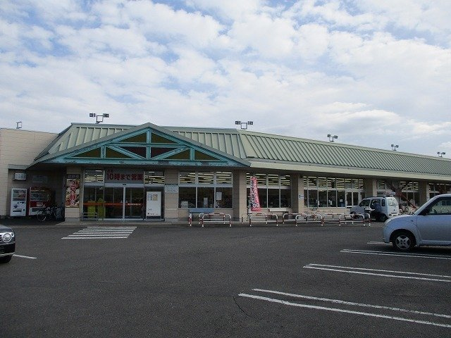 ロング　シーダー　Ｄの周辺|タイヨー都城郡元店まで1000m
