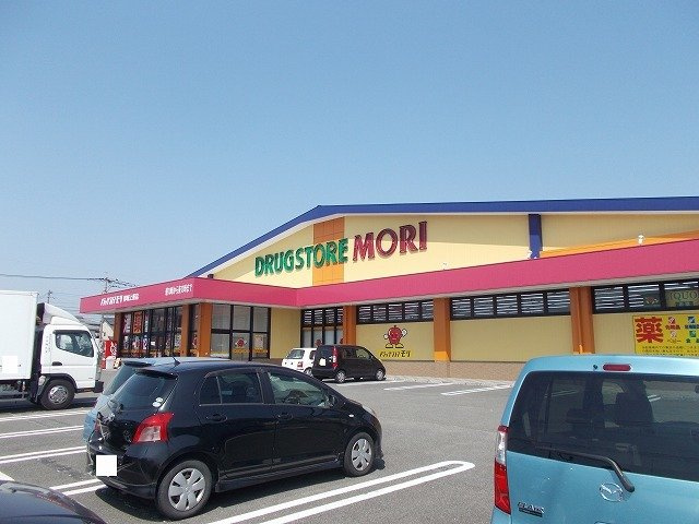 カーサ・グレイスの周辺|ドラッグストアモリ都城上東店まで1100m
