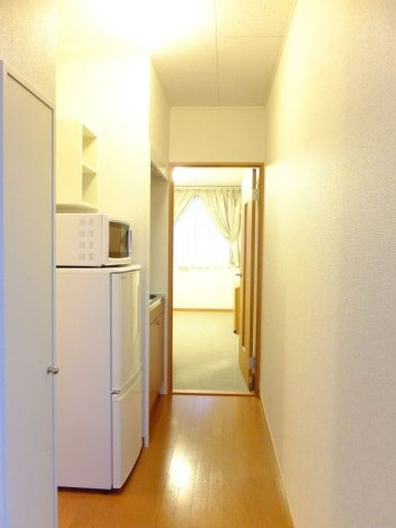 レオパレスストレーザ椿森の玄関