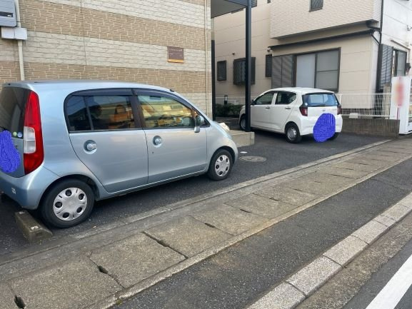 レオパレスペリフェレイアのその他