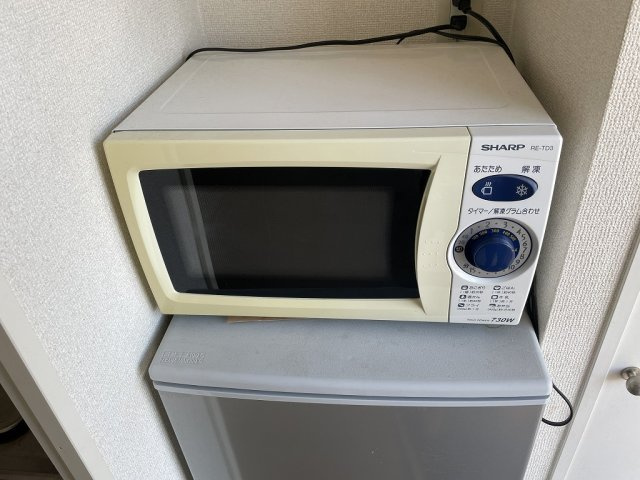 レオパレスカーネルのその他