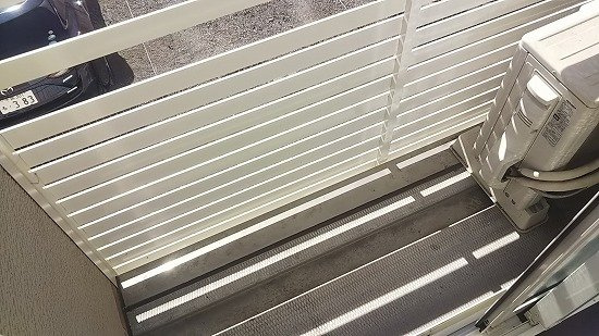レオネクストレセーナのその他