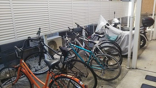 レオネクストレセーナのその他