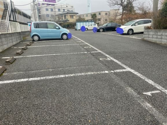 レオパレスフラワーアイランドのその他
