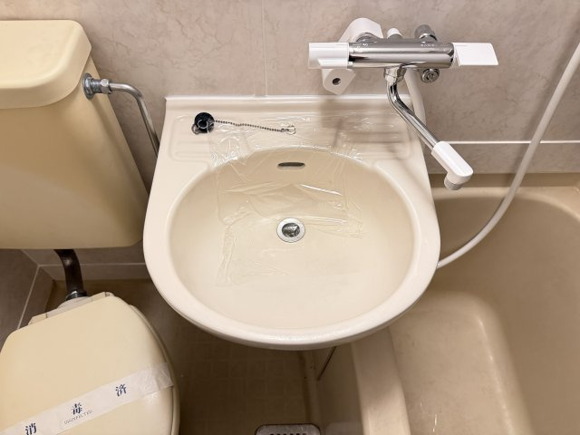 シャンテ大和の洗面所