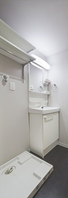 CASA八潮(カーサヤシオ)の独立洗面台