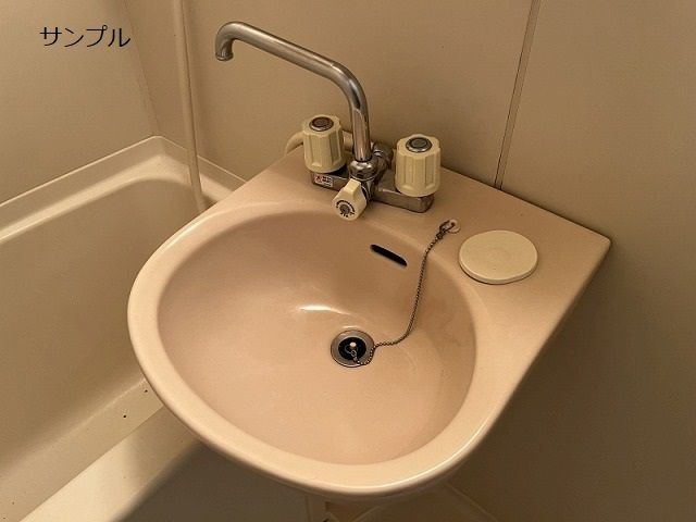 Ｓｕｒｐｌｕｓ　ＦＵＪＩの洗面所