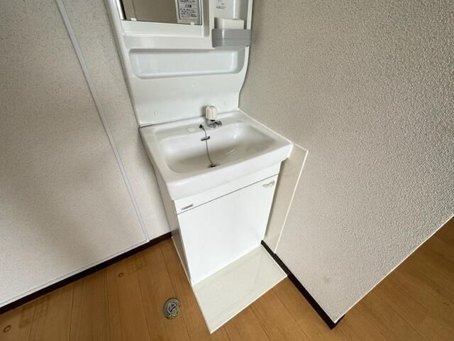 グリーンハイツの洗面所