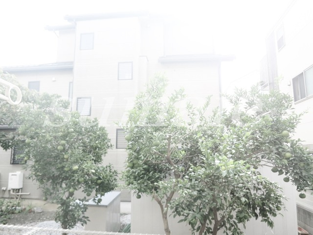 シャトル・アイの展望|景色です！