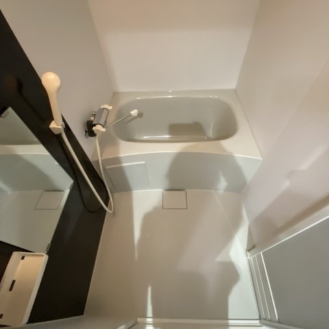 Ｒｅｓｉｄｅｎｃｅ　ＨＩＮＯＤＥⅡの浴室