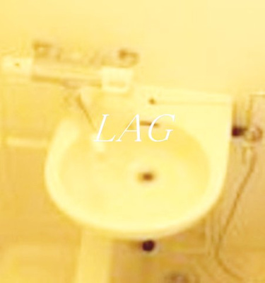 【洗面所】 | レイクサイド湯島 | 洗面台です。