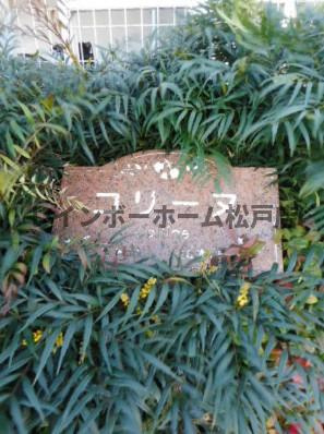 【仲介手数料：50％OFF】対象物件！のその他