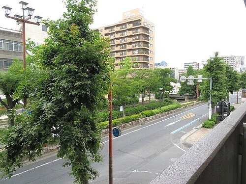 アルファステイツ西川緑道公園のその他|西側バルコニーからの眺望　※2019年7月撮影