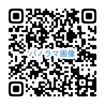 田代Part１０ のその他