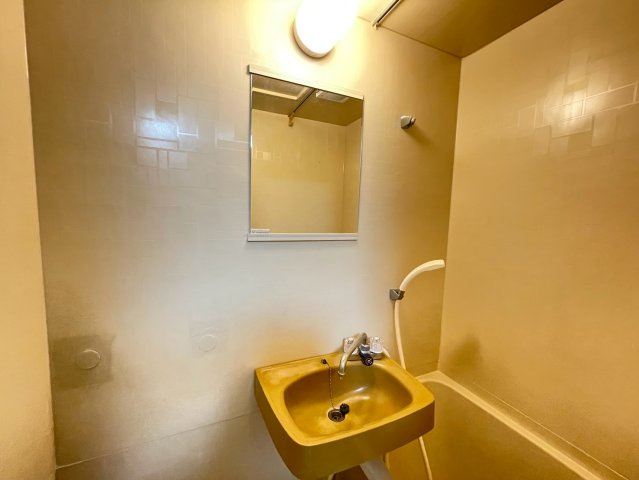 ハイツ菱屋の洗面所