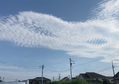 【展望】 | 上壱分方町新築戸建 | 桜や紅葉の名所に出かける人は多いと思いますが、家にいながら季節の移ろいを感じる生活を送りませんか？リビングや窓から見える景色が生活を彩るワンポイントに！現地から見える景色を堪能してみては如何でしょう。