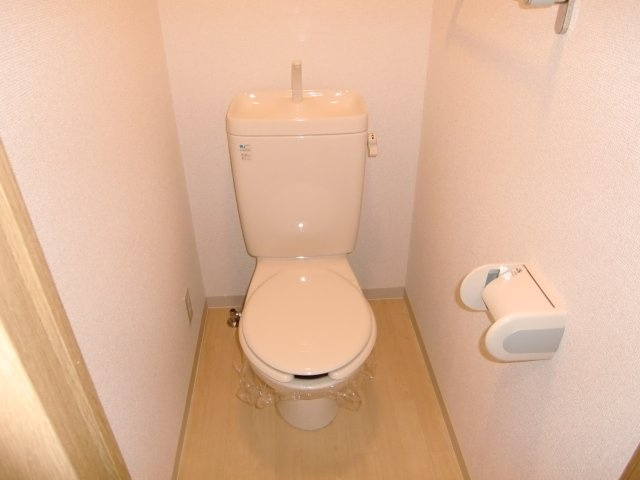 フロンツォーネのトイレ