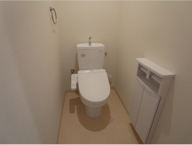 熊本市北区龍田８丁目の賃貸マンションのトイレ|落ち着いた色調のトイレです