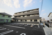 Cardanoの画像