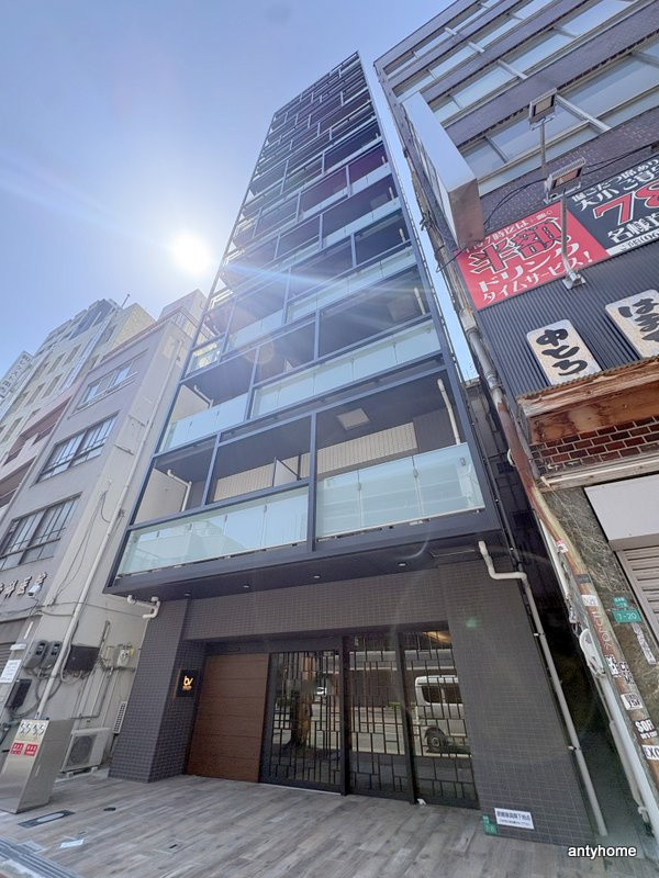 ブエナビスタ難波タワー　仲介手数料無料の外観