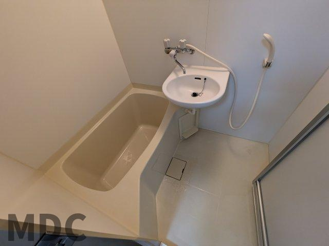 ハイツみやびの洗面所