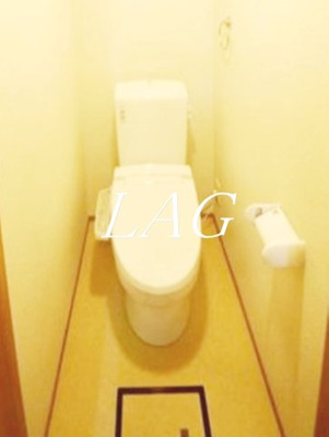 【トイレ】 | テサールム | トイレです。（同仕様です。）