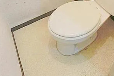 ロイヤルハイツフジのトイレ