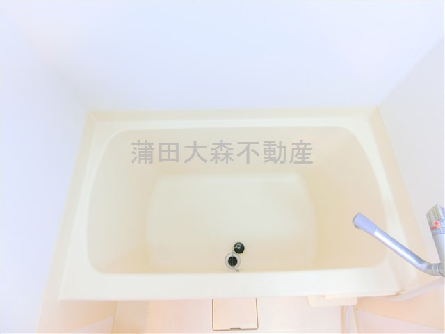 シンフォニアパレスの浴室