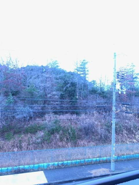 ゆりのき台３丁目戸建の展望