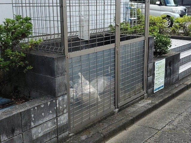 レオパレスソレイエのその他