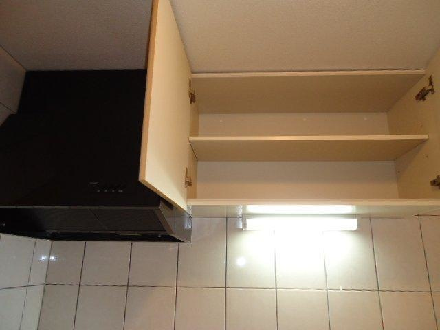 プレジデンス木の実のキッチン|キッチン収納(イメージ)