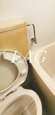 【トイレ】 | サンブリッジＡ | トイレです。