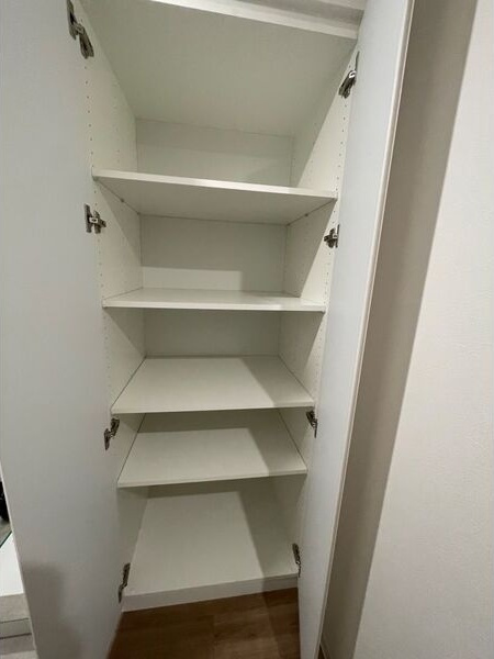 ラピスラズリ上杉のその他