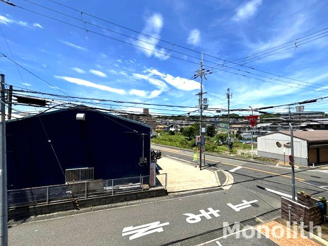 クリプトメリアの展望