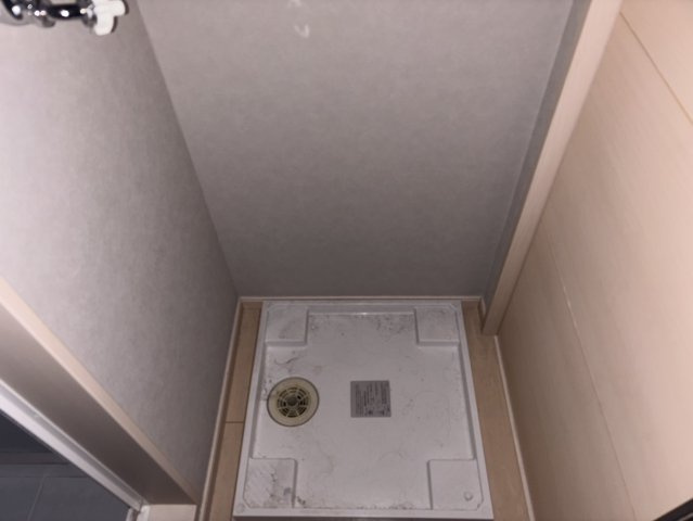 アニマジョーネのその他