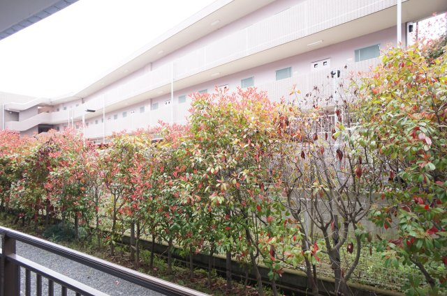 ひかりコーポの展望