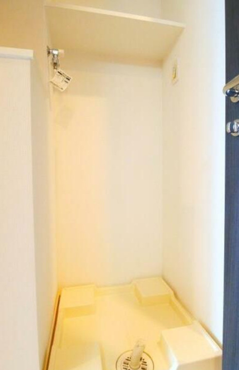 ラフィスタ調布多摩川の洗面所