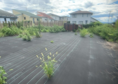 【庭】 | 宇津木町新築戸建 | 庭があることでガーデニングや家庭菜園はもちろん、こどもの遊び場やペットを放して遊ぶことができます。また、家の周囲に余裕があるということです。隣地との間があれば、十分な日当たりと、風通しが確保できます。