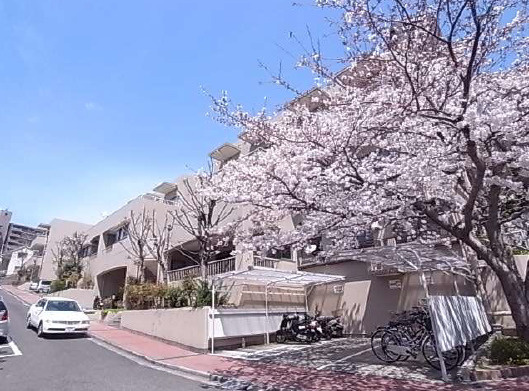 シャルムロアイヤル朝霧