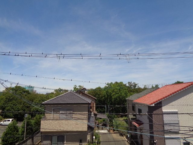 パティオ岸和田の展望