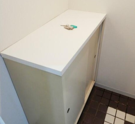 足立区一ツ家２丁目の賃貸マンションの玄関|※別部屋参考写真