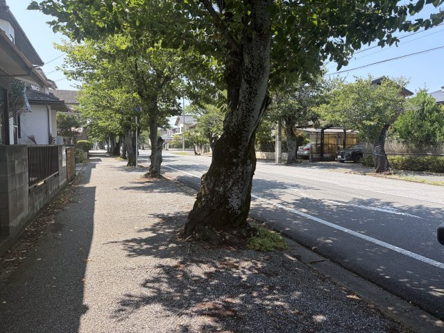 野田市大殿井　の前面道路含む現地写真