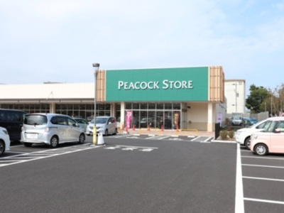  | BLESS HOUSE柏西町 D | ピーコックストア 徒歩8分